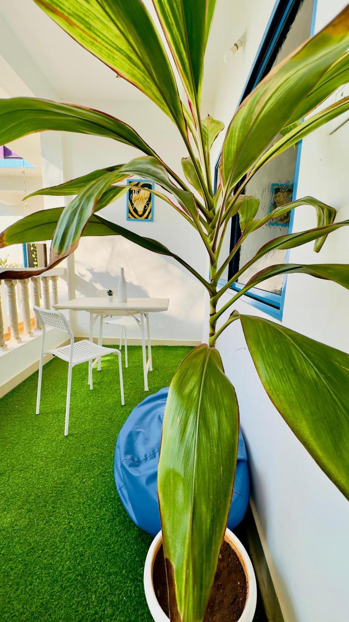 Omkar Wellness Inn Arambol Extérieur photo