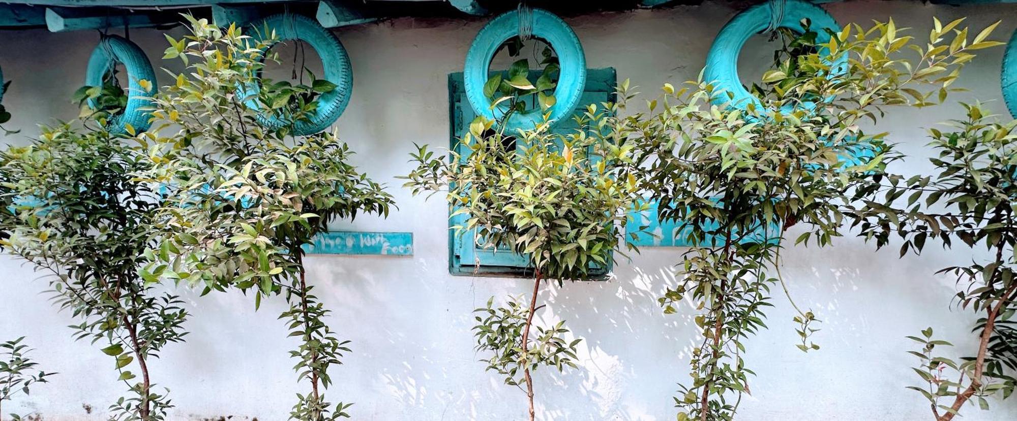 Omkar Wellness Inn Arambol Extérieur photo